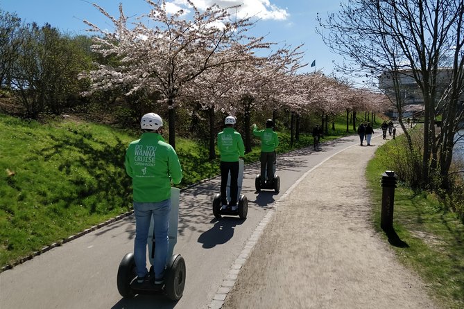 1-Hour Private Segway Tour Copenhagen - Your own private group - Why this tour works well in Copenhagen