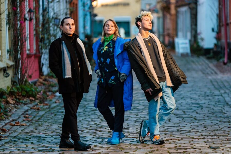 Aarhus Walking Tour: From Viking Village to Metropolis - Is $31 a fair price?