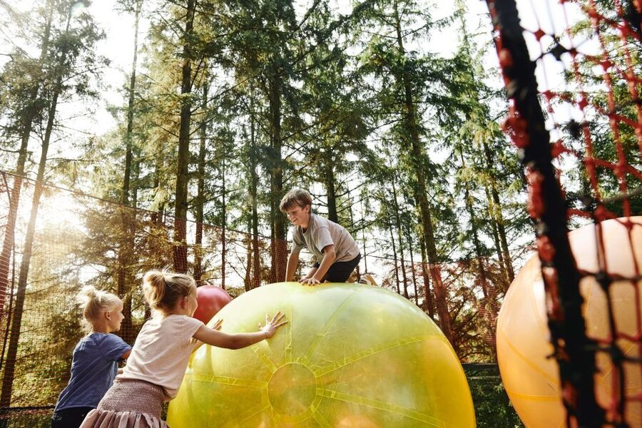 Billund: WOW PARK Entry Ticket - Tarzan swings, bridges, and treetop routes