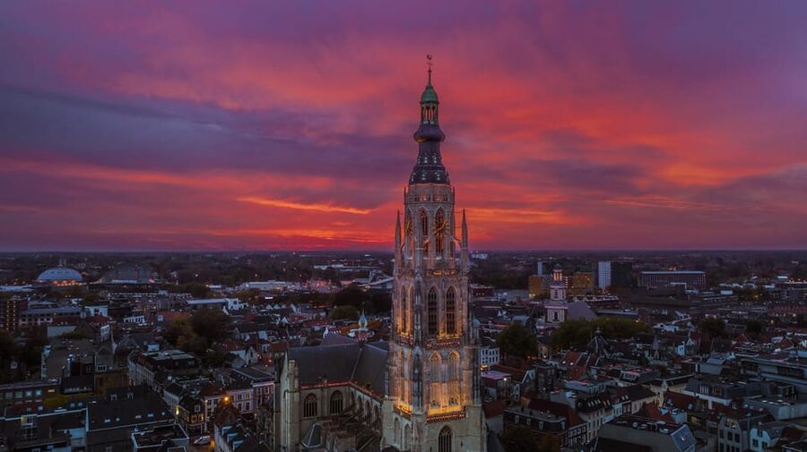 Breda: Highlights tour with local guide - Language, access, and the practical details