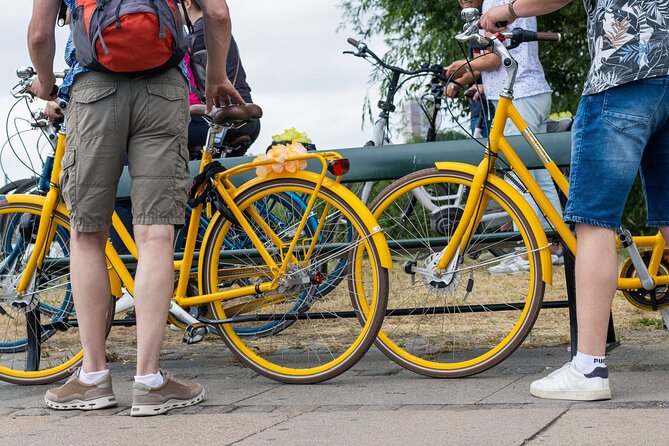 Copenhagen 3 Hour Private Bike Tour with local Guide - Why a private bike tour fits Copenhagen