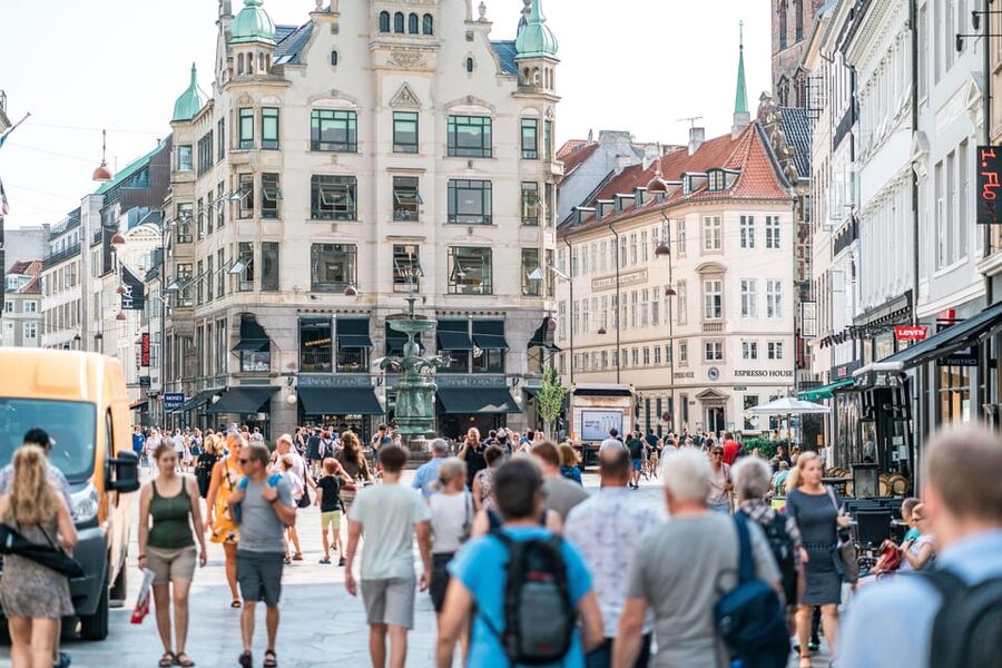 Copenhagen City & Christiansborg Palace Private Walking Tour - What the guides add to the experience