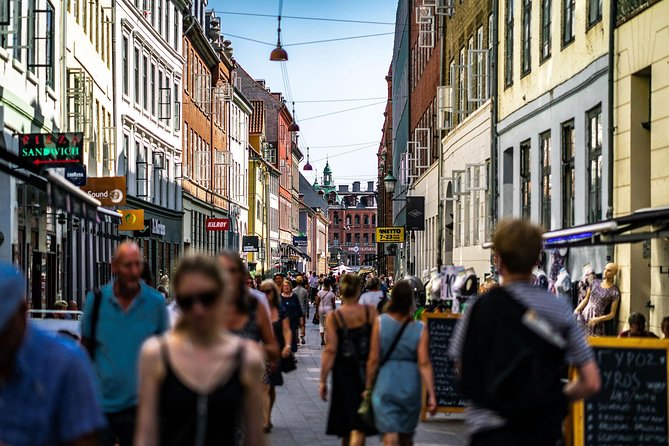 Copenhagen City Private Walking Tour - Christiansborg Palace and Copenhagen’s Political Center