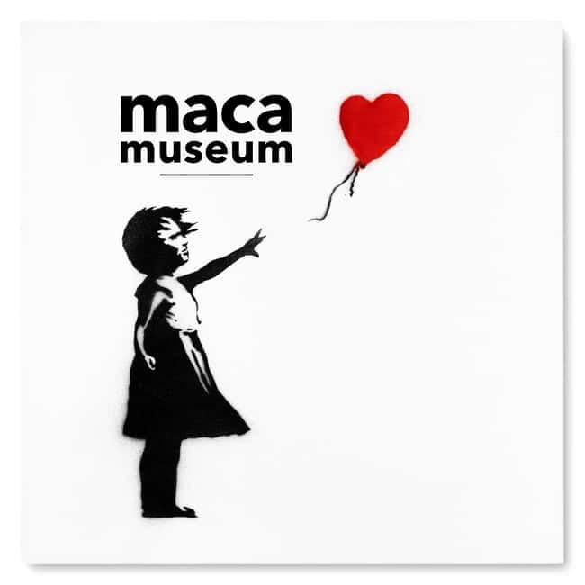 Copenhagen: MACA Art Museum Entry Ticket - Key points to know before you go