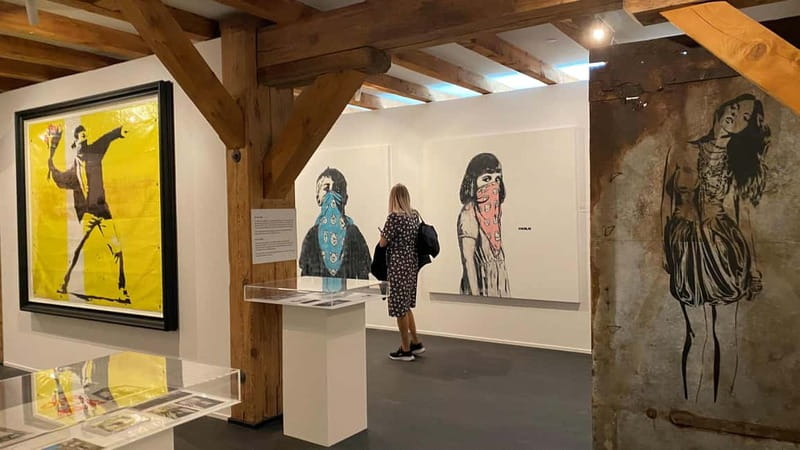 Copenhagen: MACA Art Museum Entry Ticket - Seeing Banksy before the famous image took over