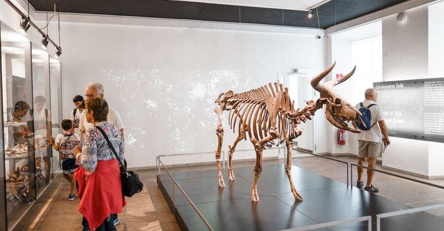 Copenhagen: National Museum of Denmark Entry Ticket - Bronze Age treasures worth seeking out