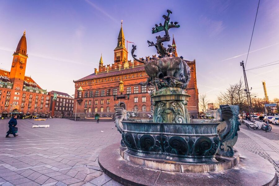 Copenhagen: Old Town and Nyhavn Private Family Tour - Key points at a glance