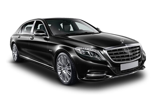 Copenhagen Port, Airport & City Private Transfer - The Vehicle, Luggage Help, and Family Details