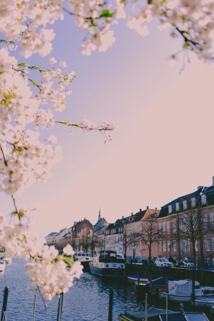 Copenhagen Private 3h biking tour - Who should book this Copenhagen ride?