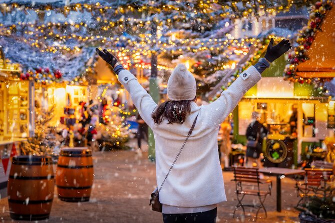 Copenhagen Private Christmas Walking Tour with Gløgg - Who should book this walk?