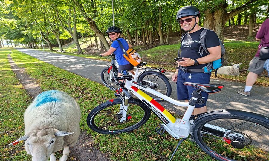 Copenhagen: Private Forgotten Giants E-Bike Treasure Hunt - Glostrup and the first change of scenery