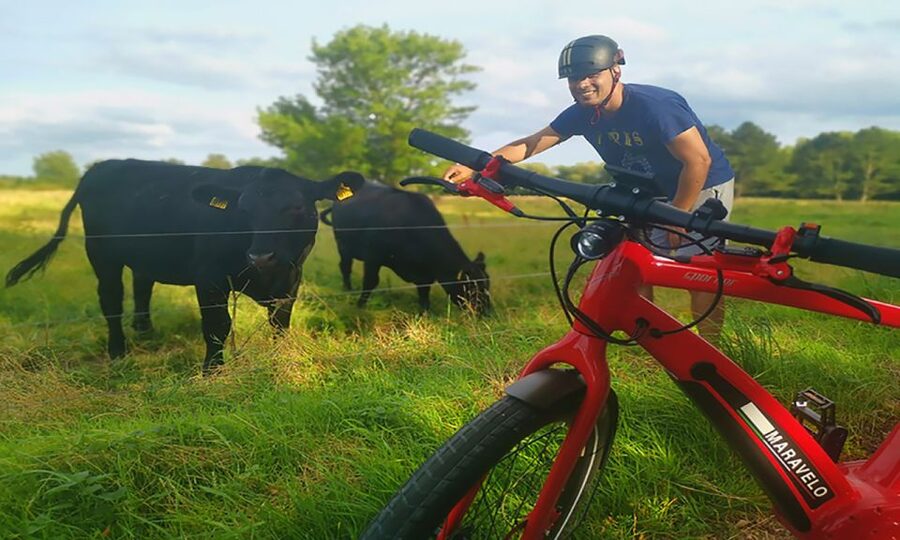 Copenhagen: Private Forgotten Giants E-Bike Treasure Hunt - Høje-Taastrup and the main treasure hunt