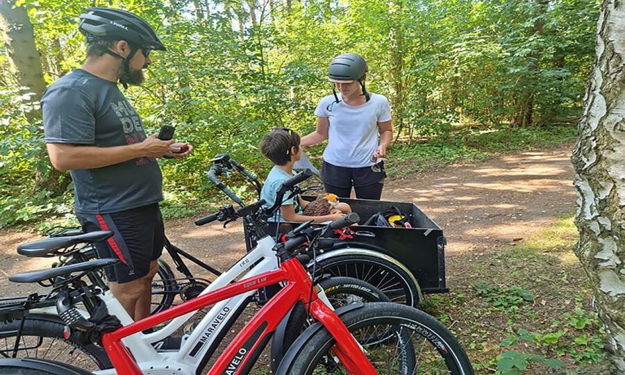 Copenhagen: Private Forgotten Giants E-Bike Treasure Hunt - Who should book this experience?