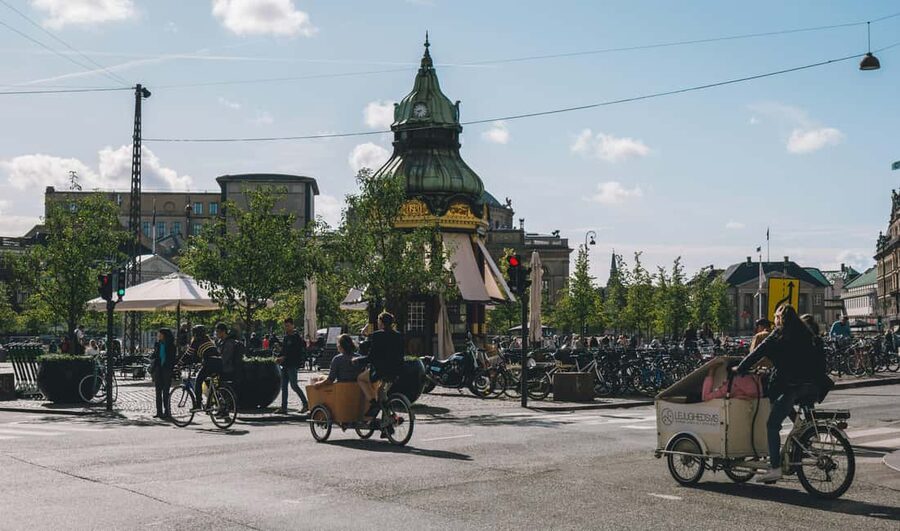 Copenhagen: Tour with Private Guide - A private walk that lets you set the tone