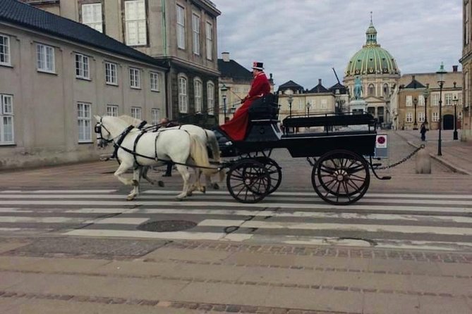 Copenhagen Walking Tour with Food Testing (smorrebrod dish & snap) - A compact first look at central Copenhagen
