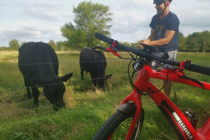 E-biking Central Forgotten Giants' s Adventure - Four giants and a very long way to find them