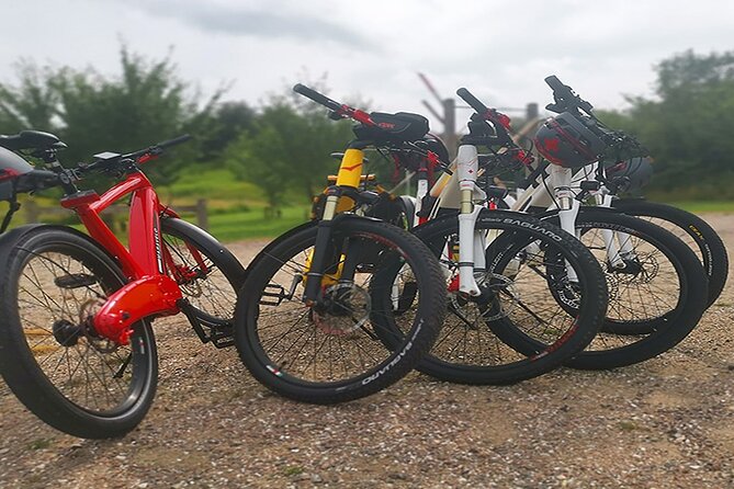 E-biking Northern Forgotten Giants' s Adventure - Little Tilde adds another reason to keep looking