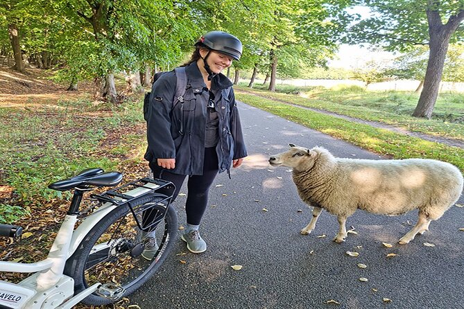 E-biking Northern Forgotten Giants' s Adventure - What the private format is really worth