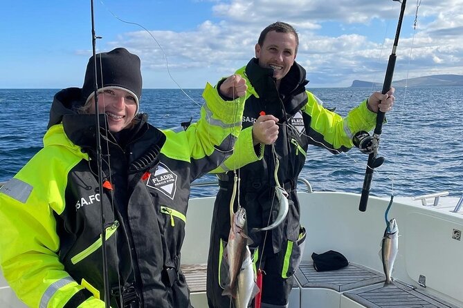 Fishing Experience in Faroe Islands - Seals, dolphins, and whales near the boat