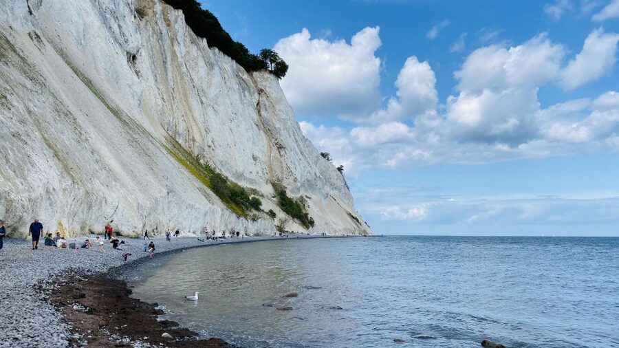 From Copenhagen: Round-Trip to Møns Klint and Forest Tower - Practical packing advice