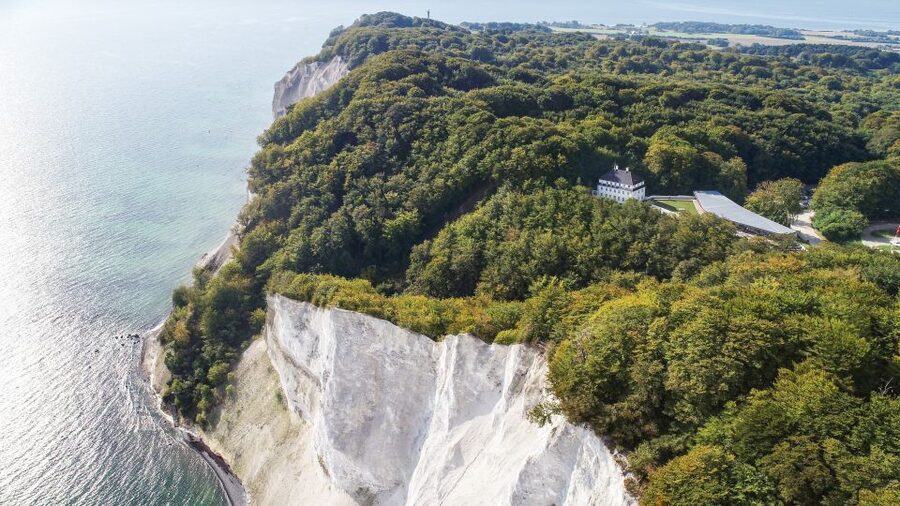 From Copenhagen: Round-Trip to Møns Klint and Forest Tower - Leaving Copenhagen in a small minibus