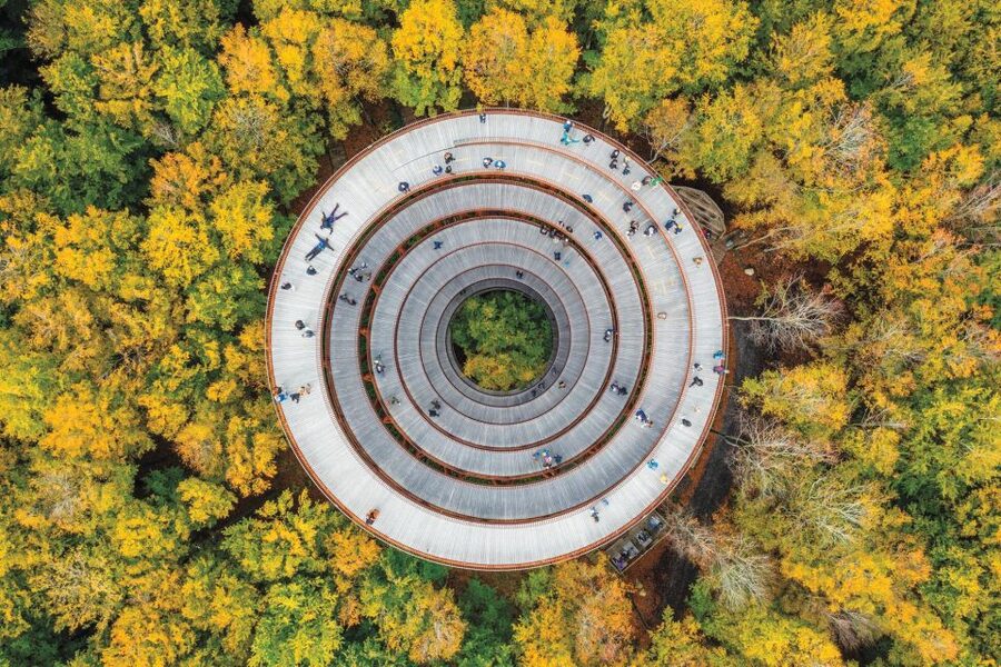 From Copenhagen: Round-Trip to Møns Klint and Forest Tower - Dronning Alexandrines Bro and the countryside drive