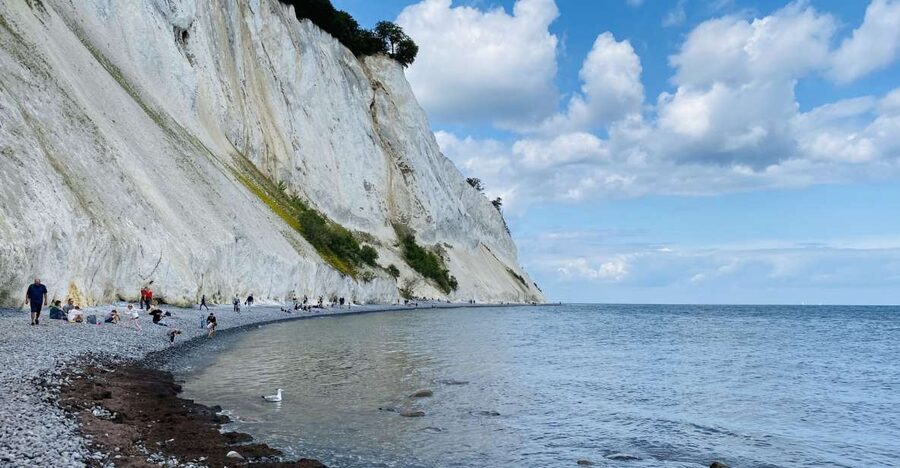 From Copenhagen: Round-Trip to Møns Klint and Forest Tower - What the guide adds to the day