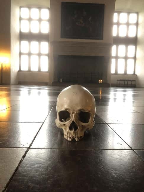 Full-Day Tour; Castle, Palace, Cathedral and Viking Ships - Kronborg Castle and the Hamlet connection