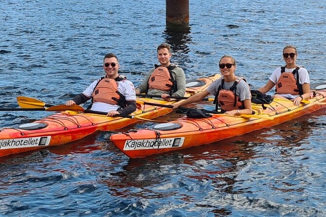Kayak Tour in Copenhagen Harbor in May and September - Starting at Kalvebod Bølge beside Copenhagen Harbor