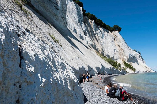 Møns klint and The Forest tower - A day tour from Copenhagen - Lunch at Café Møns Klint