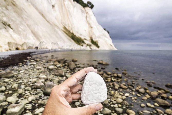 Møns klint and The Forest tower - A day tour from Copenhagen - How demanding is the walking?