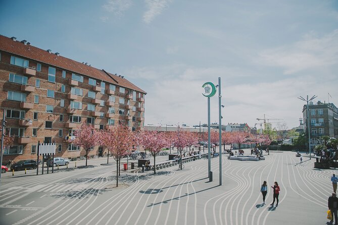 Nørrebro Neighborhood Tour - Key points at a glance