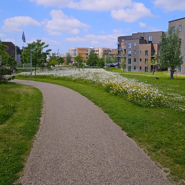 Odense: City walk - The new green Odense - City development - What the guide adds to the experience