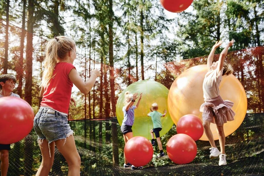 Skjern: WOW PARK Entry Ticket - A self-guided day in Skjern’s forest