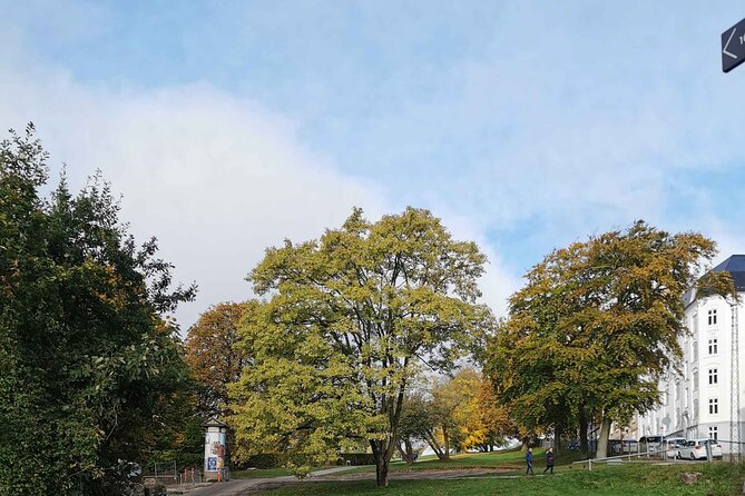 The Ancient Viking Stronghold of Aros: A Self-Guided Audio Tour in Aarhus - Add the Viking Museum if your schedule allows